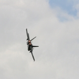 IMG_12979
