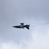 IMG_8290
