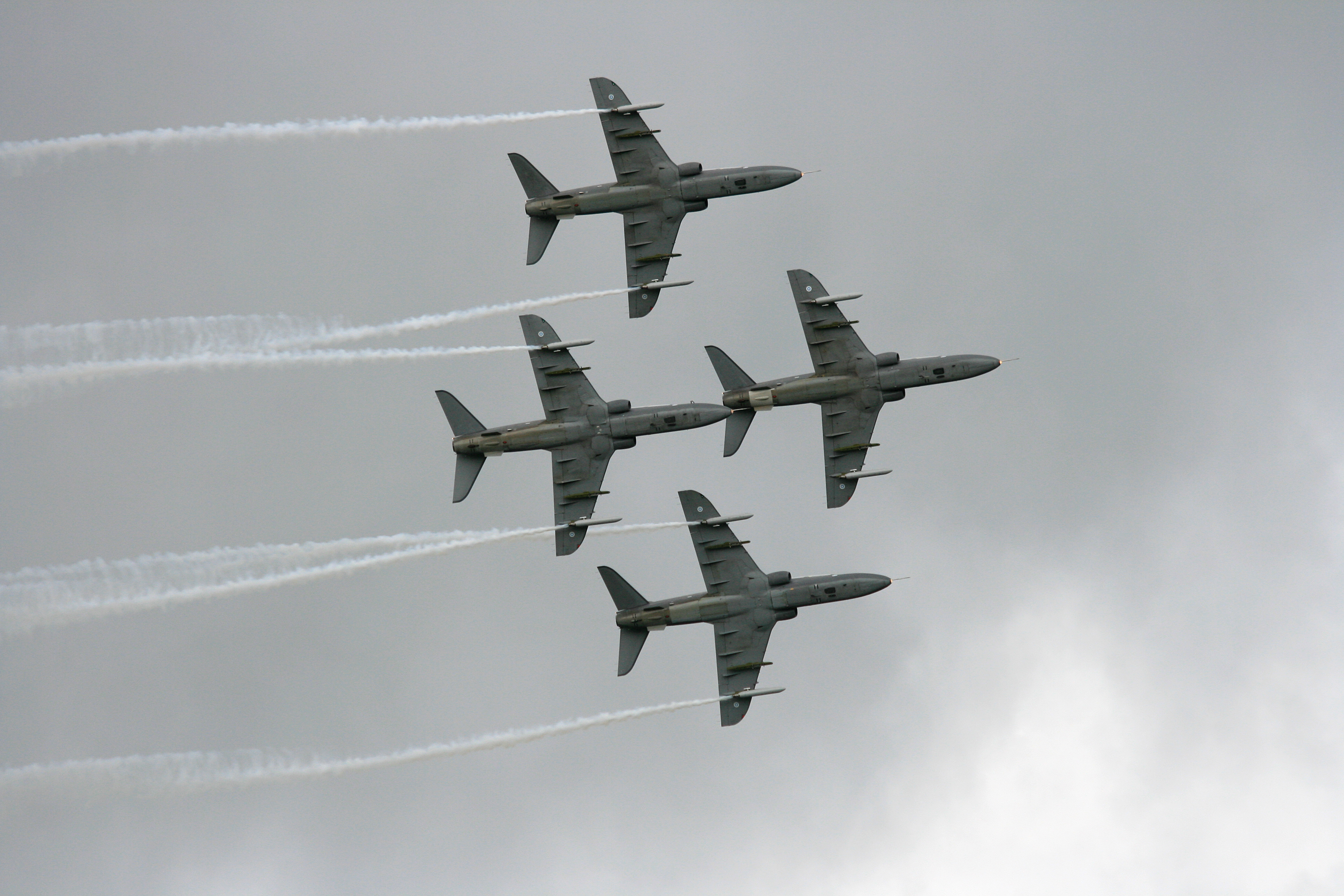 IMG_26625.JPG - Midnight Hawks