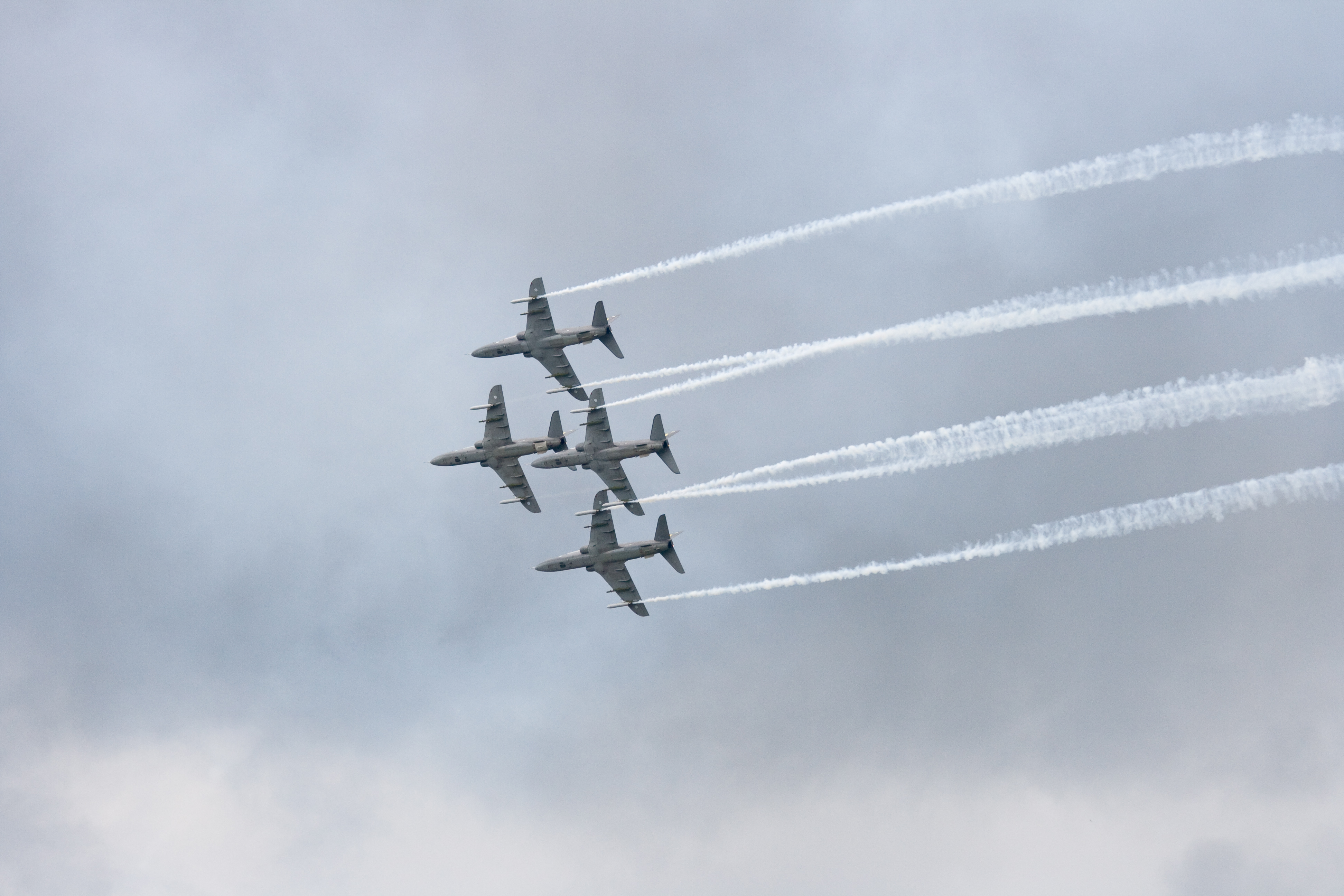 IMG_26650.JPG - Midnight Hawks