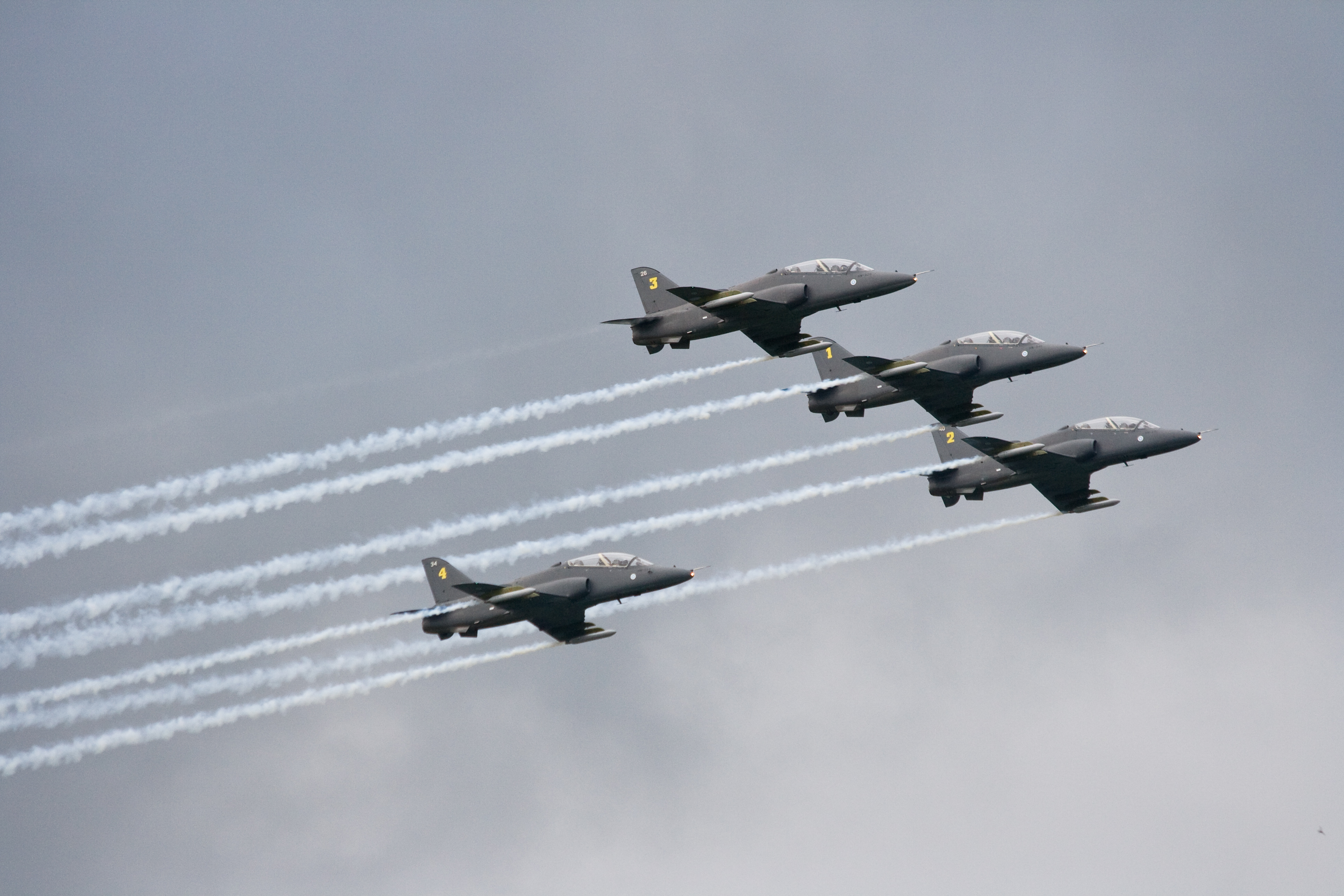 IMG_26657.JPG - Midnight Hawks