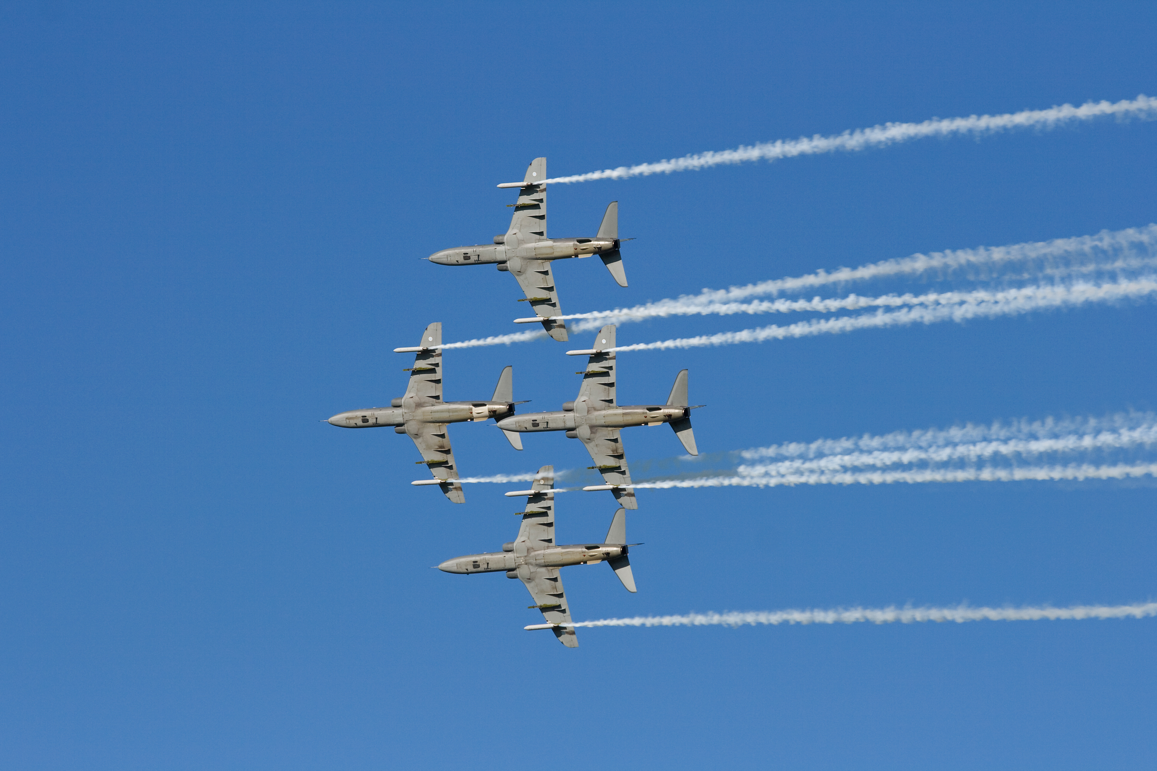 101_IMG_30625.JPG - Midnight Hawks