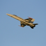 220_IMG_30969