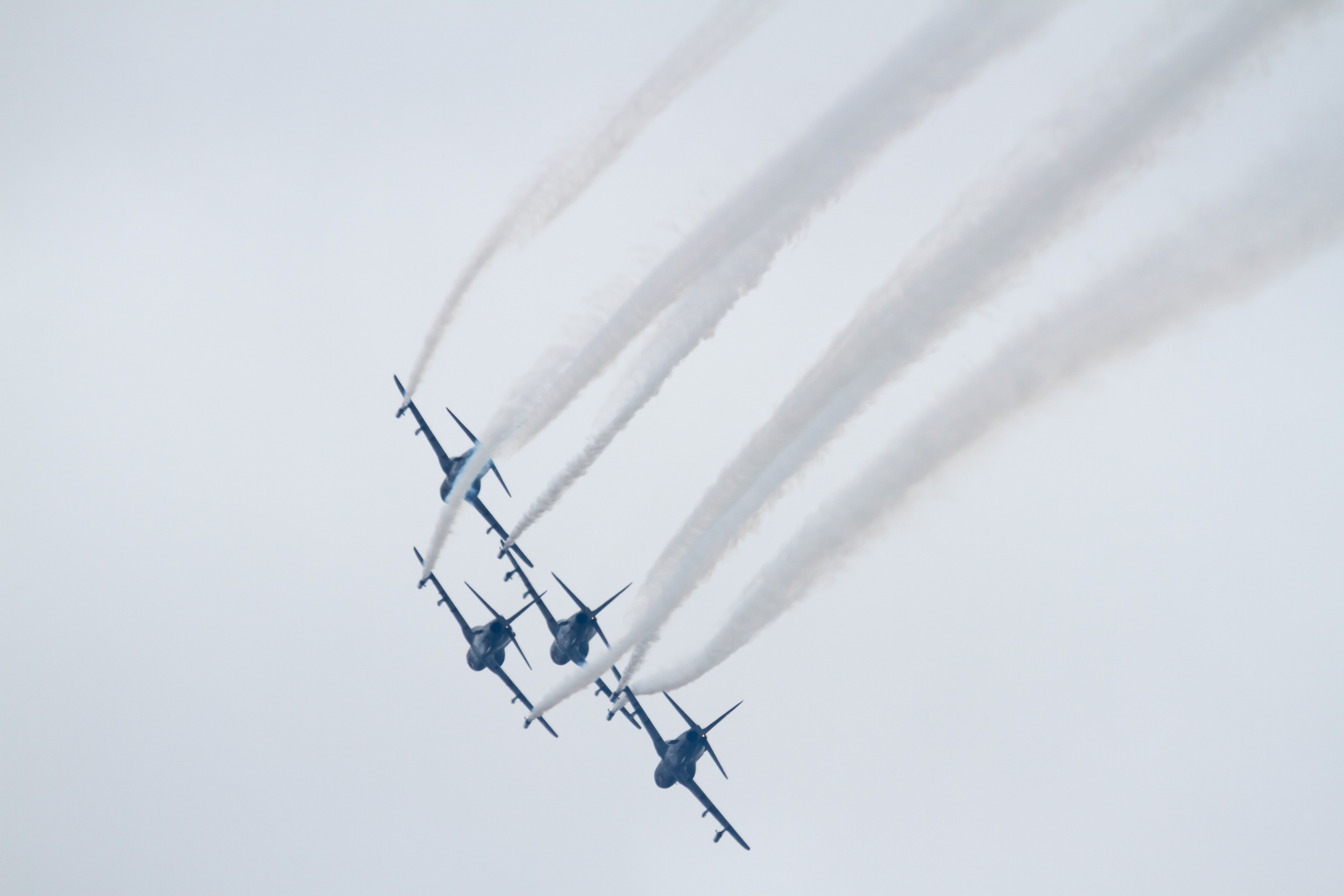 EOS7D_01870.jpg