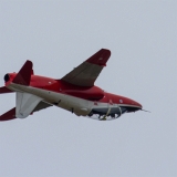 EOS7D_02068