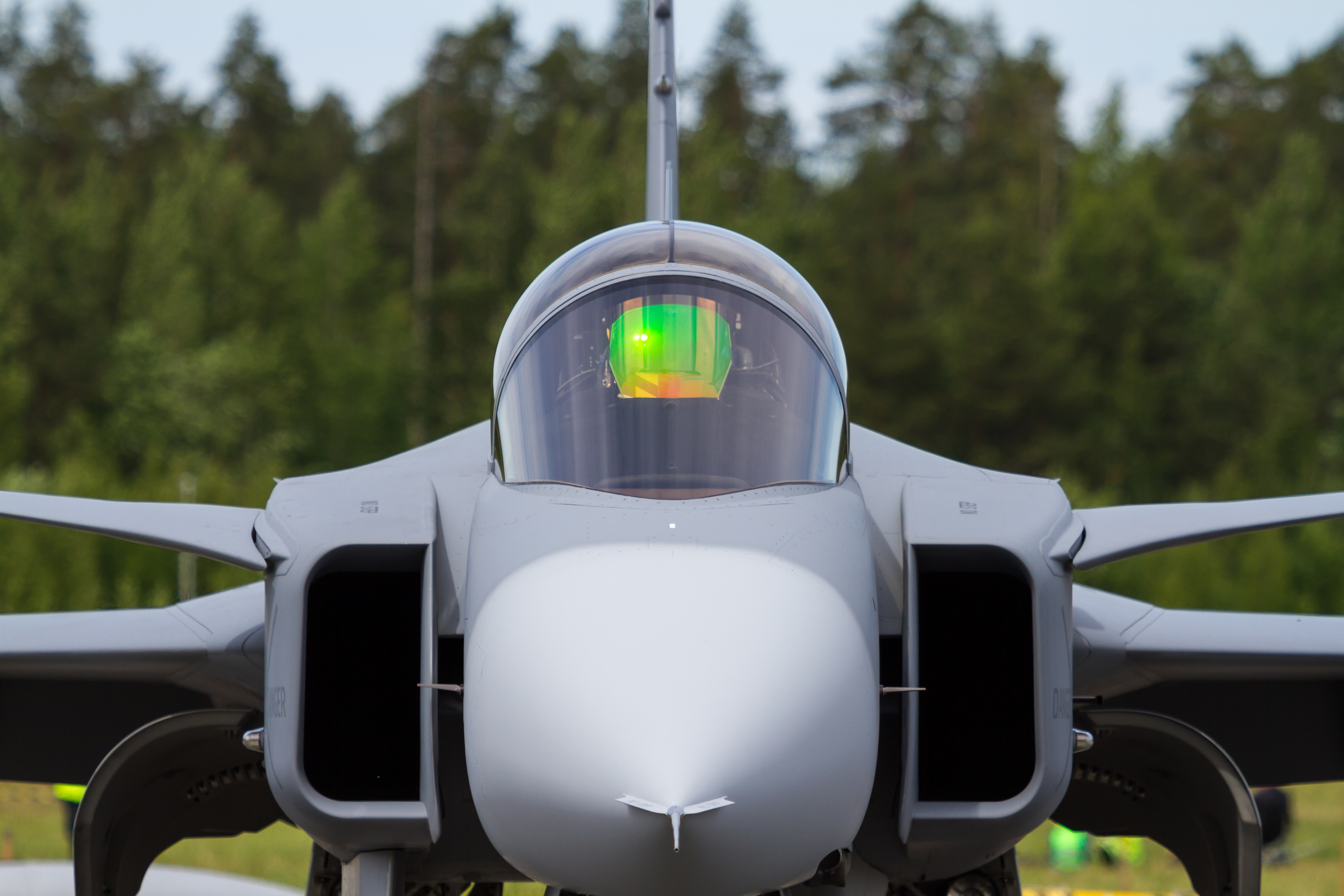 EOS7D_02839.jpg - JAS-39C Gripen