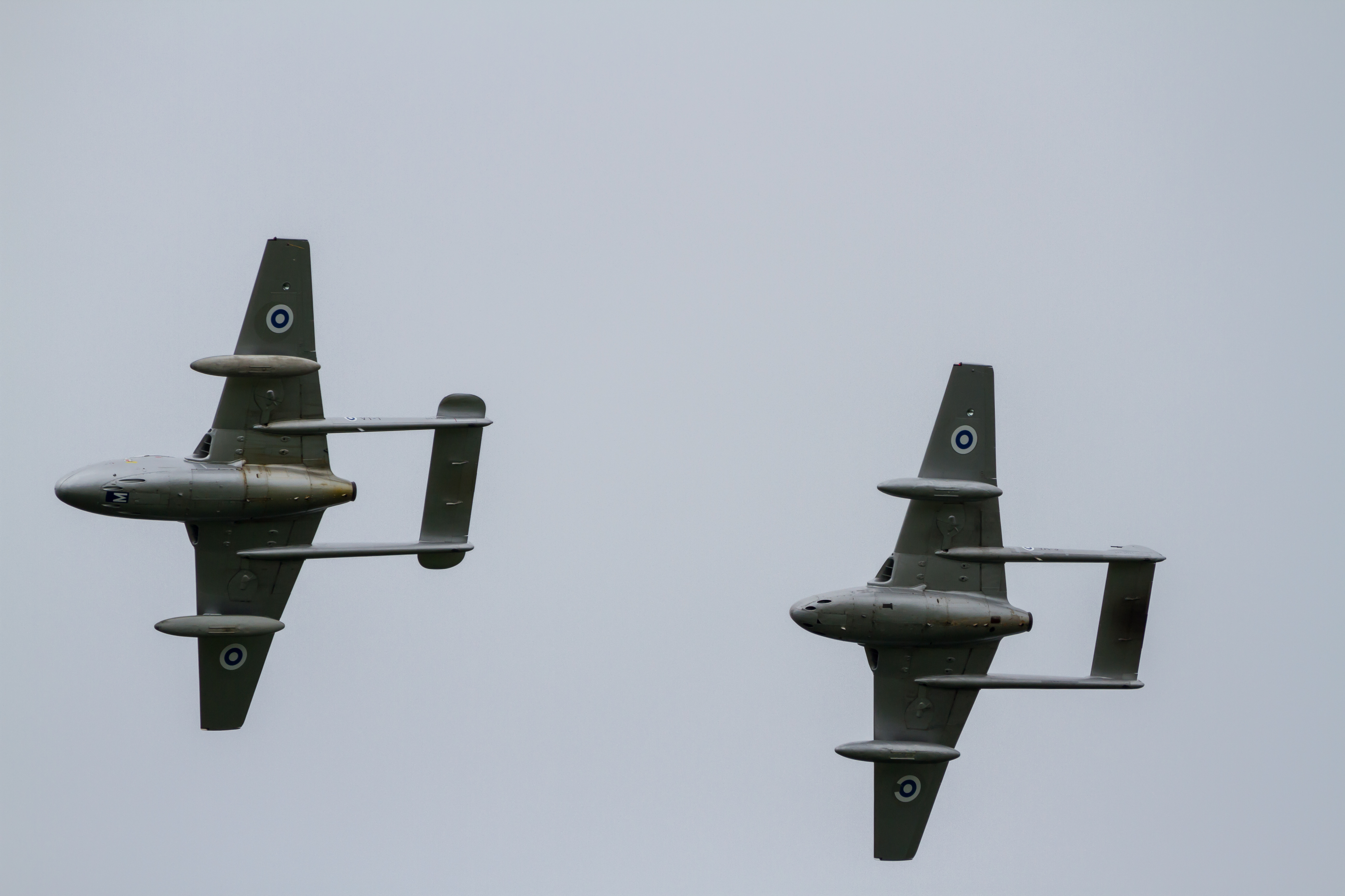 EOS7D_02973.jpg - De Havilland DH-100 FB.52 Vampire