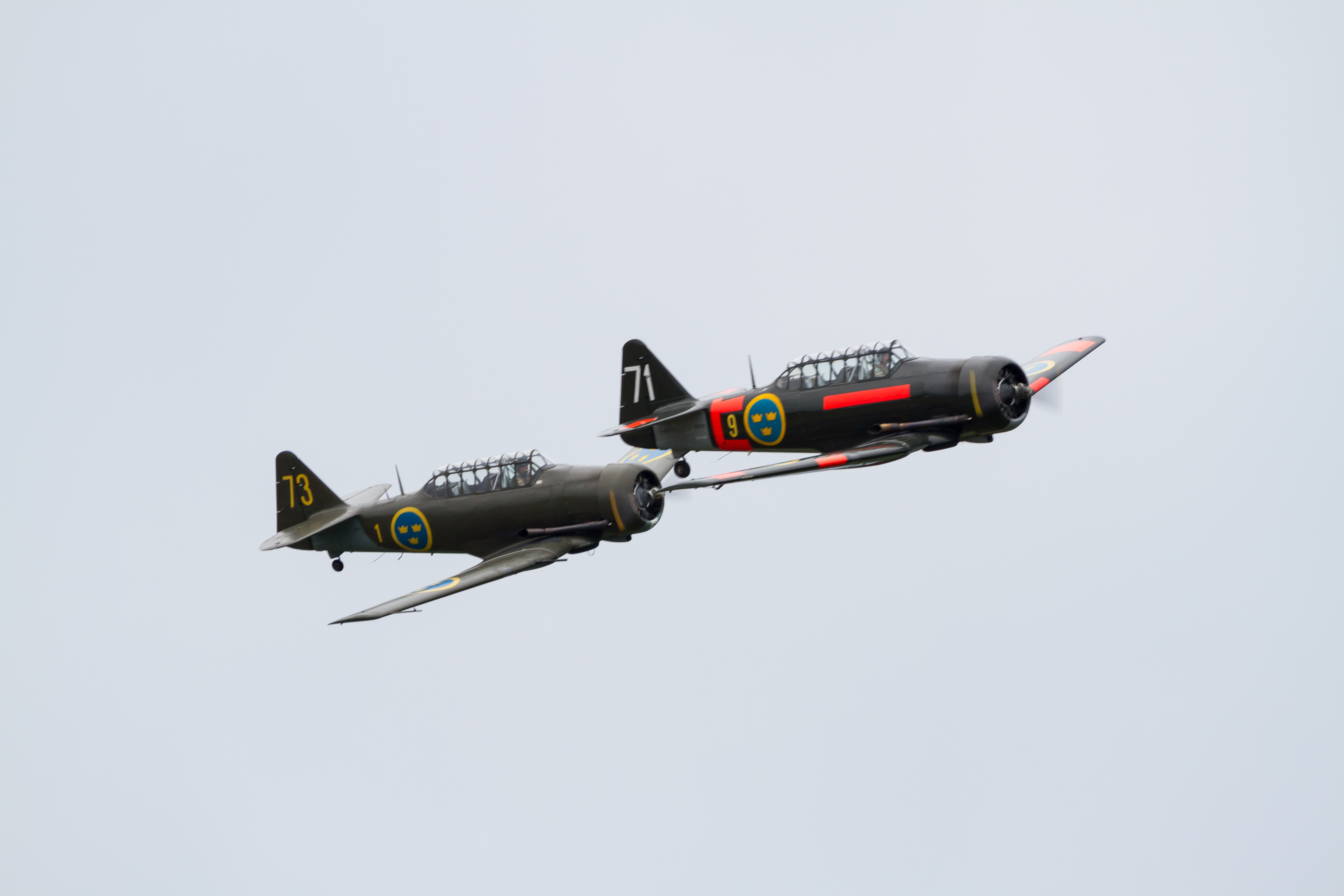 EOS7D_03004.jpg