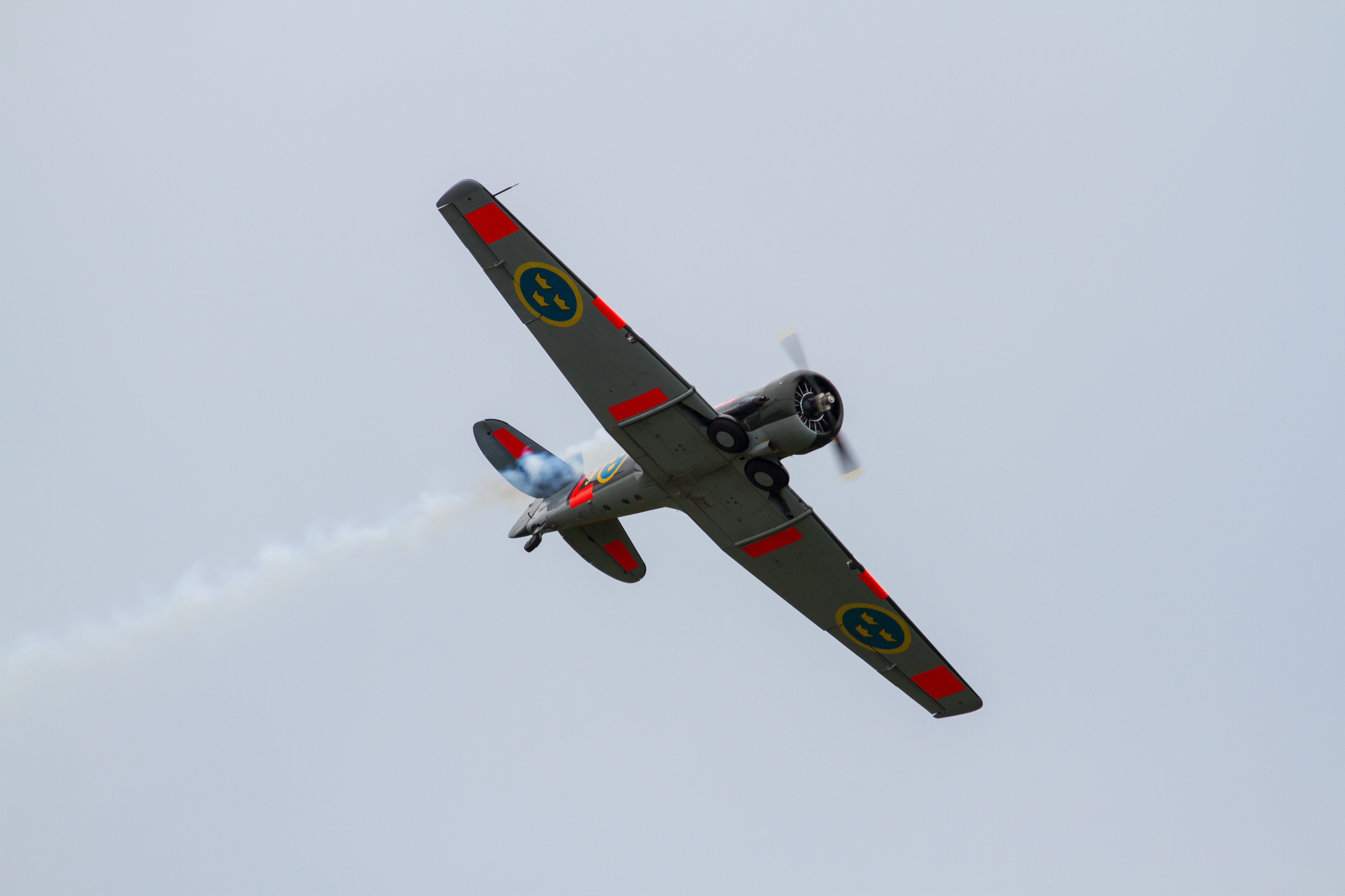 EOS7D_03024.jpg