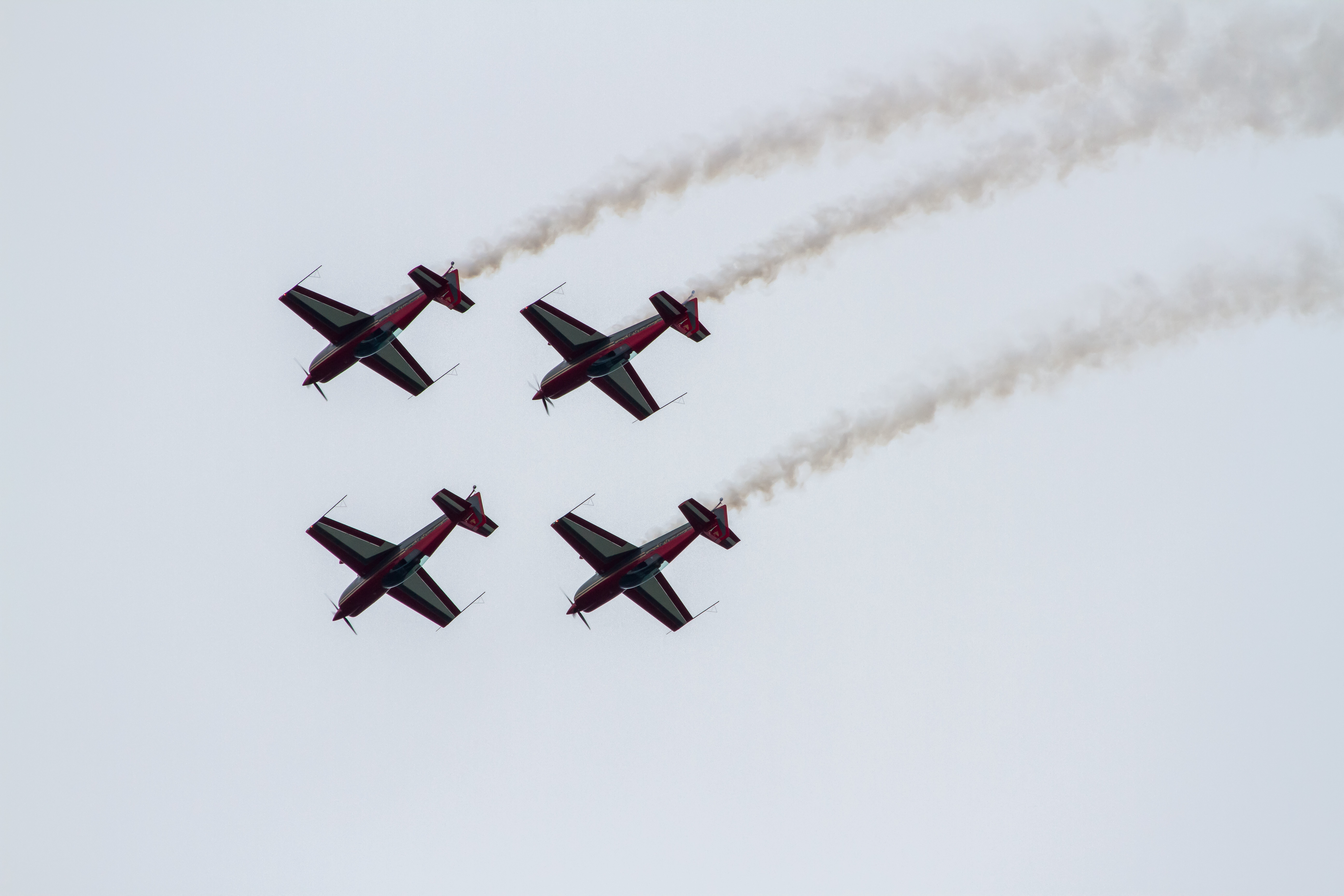 EOS7D_03084.jpg - The Royal Jordanian Falcons