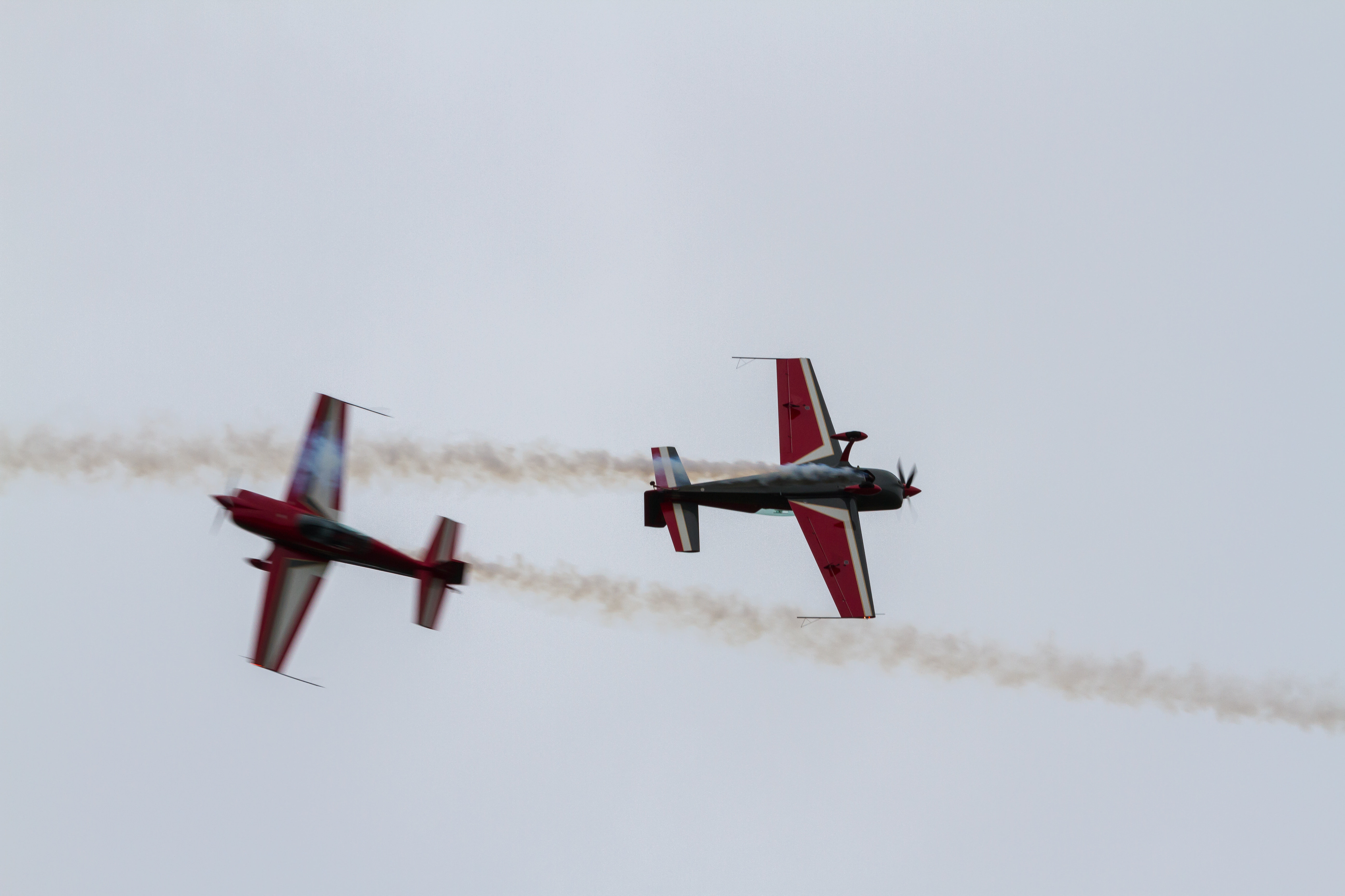 EOS7D_03182.jpg - The Royal Jordanian Falcons