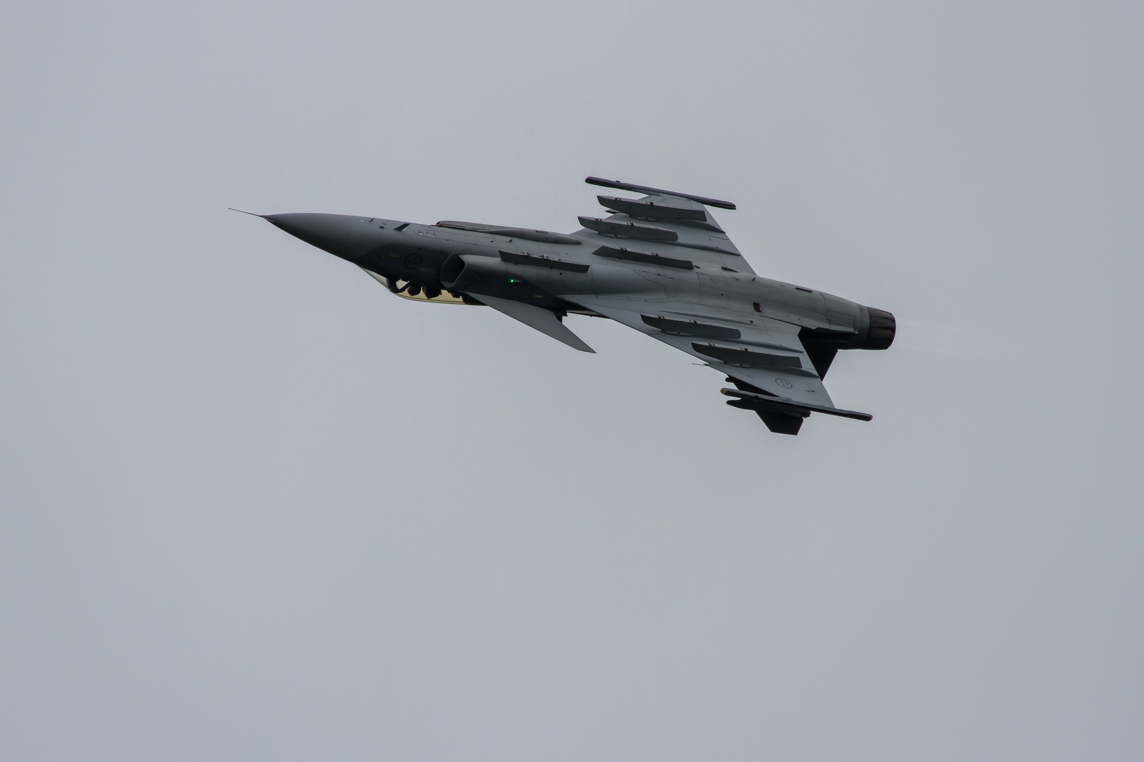 EOS7D_03267.jpg - JAS-39C Gripen