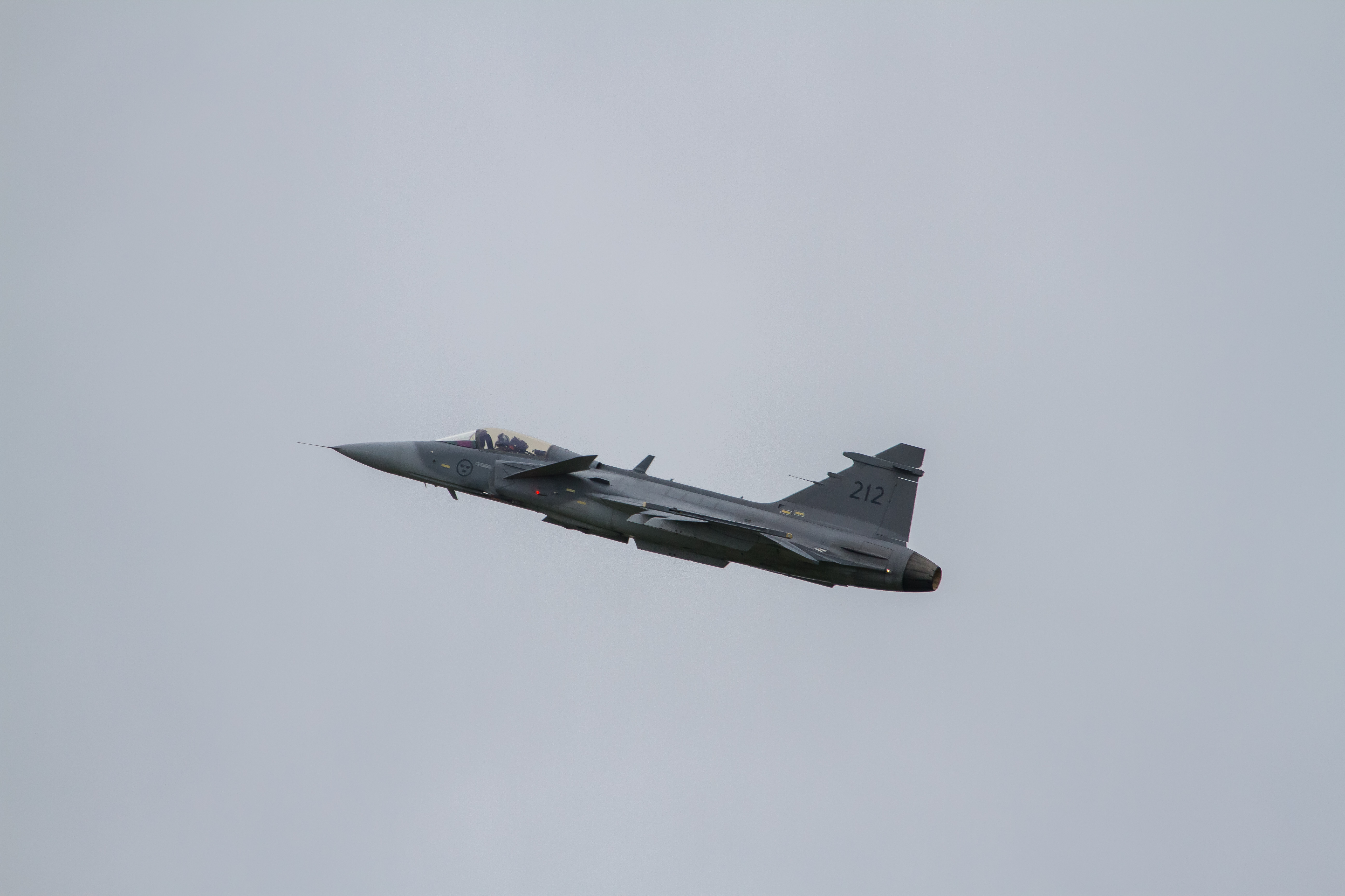 EOS7D_03341.jpg - JAS-39C Gripen