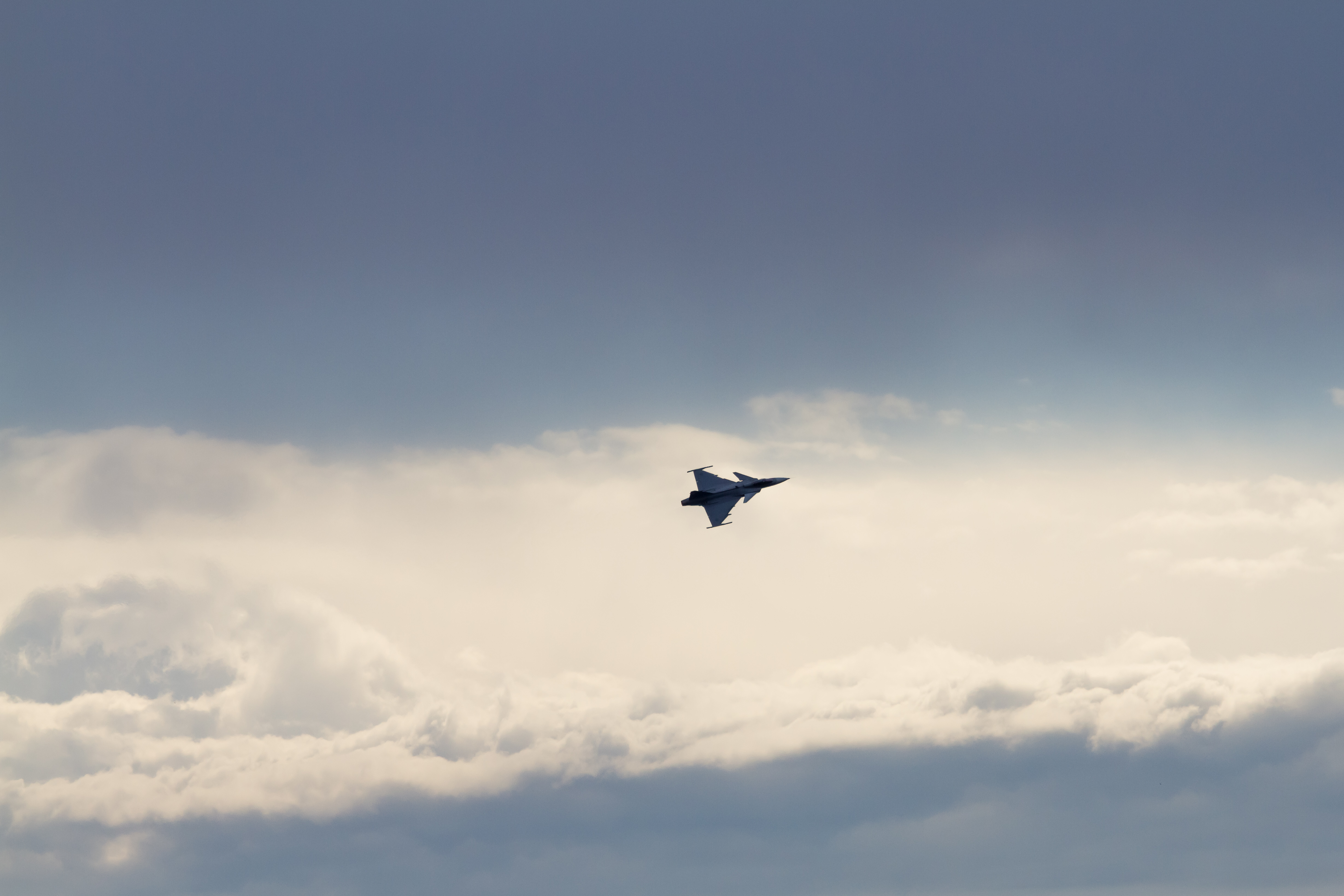 EOS7D_03350.jpg - JAS-39C Gripen
