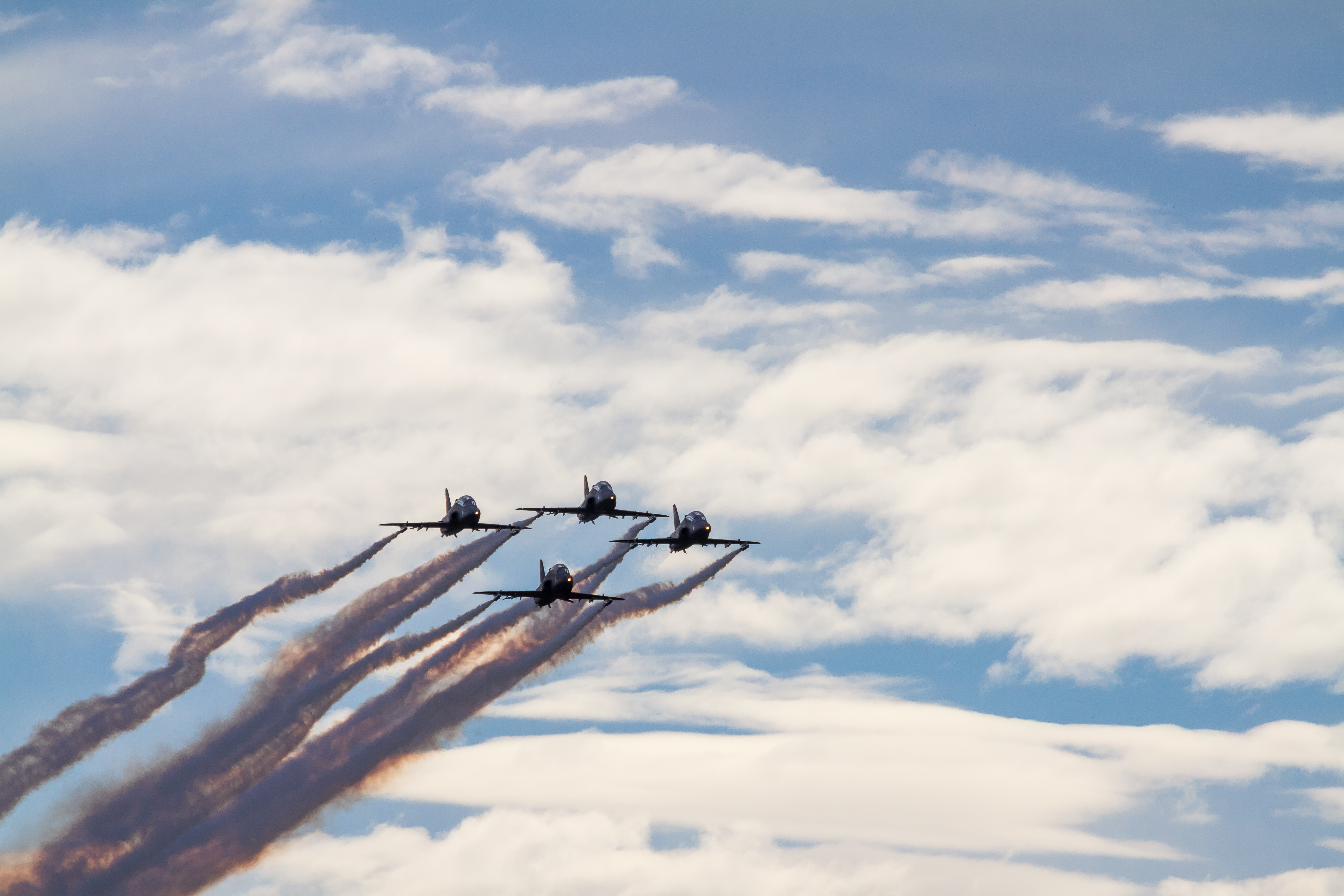 EOS7D_03636.jpg - Midnight Hawks