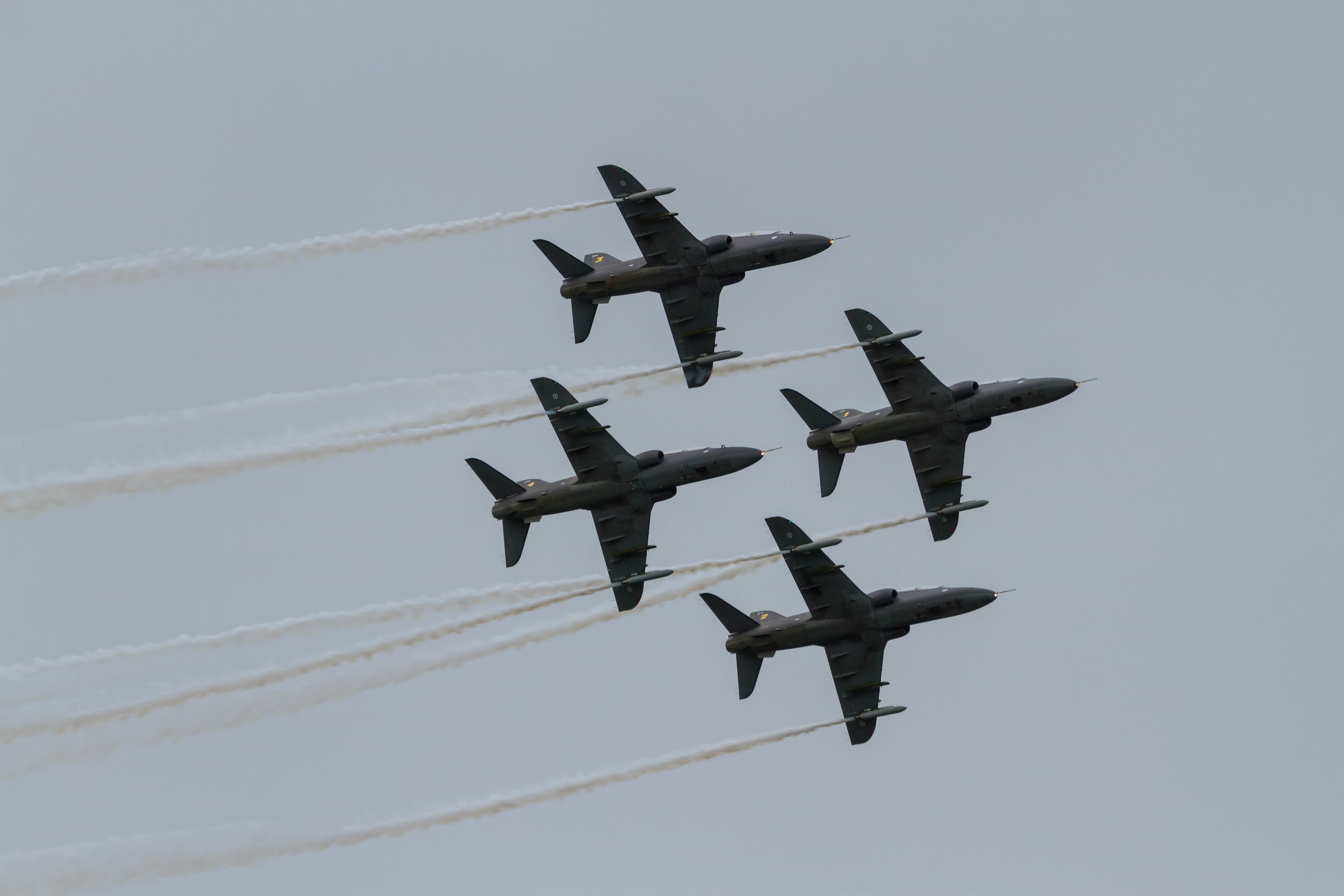 EOS7D_03643.jpg - Midnight Hawks