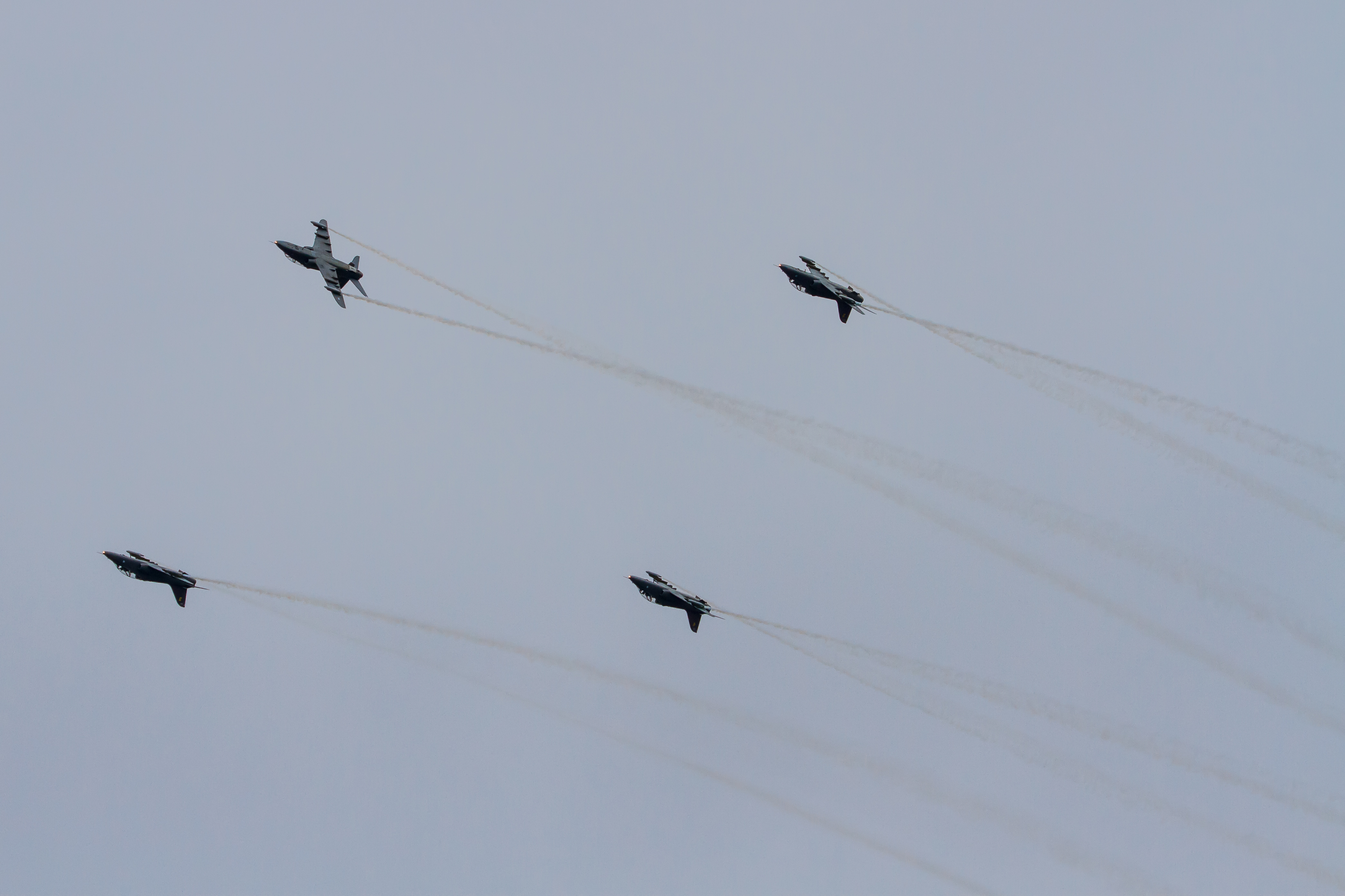 EOS7D_03696.jpg - Midnight Hawks