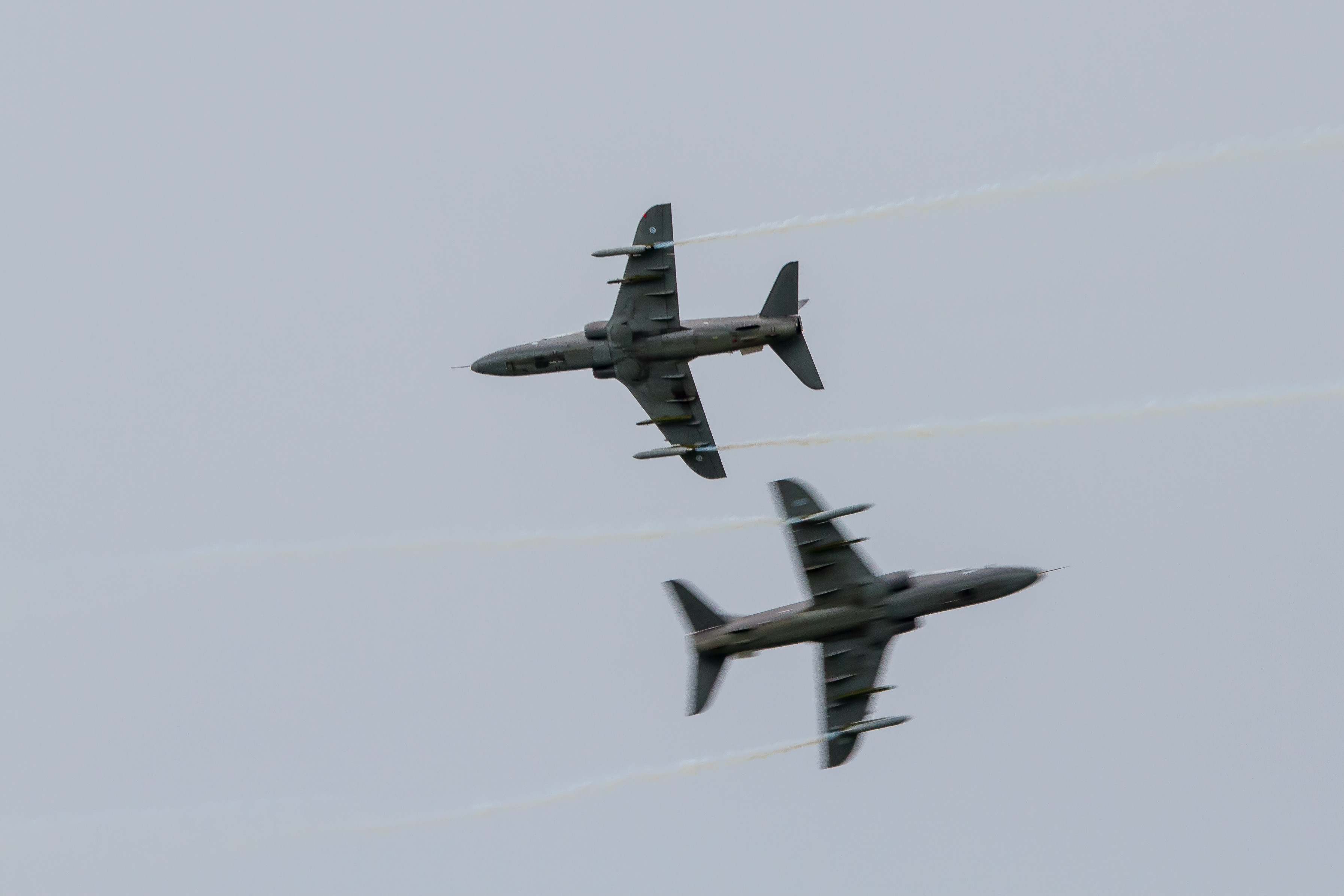 EOS7D_03715.jpg - Midnight Hawks