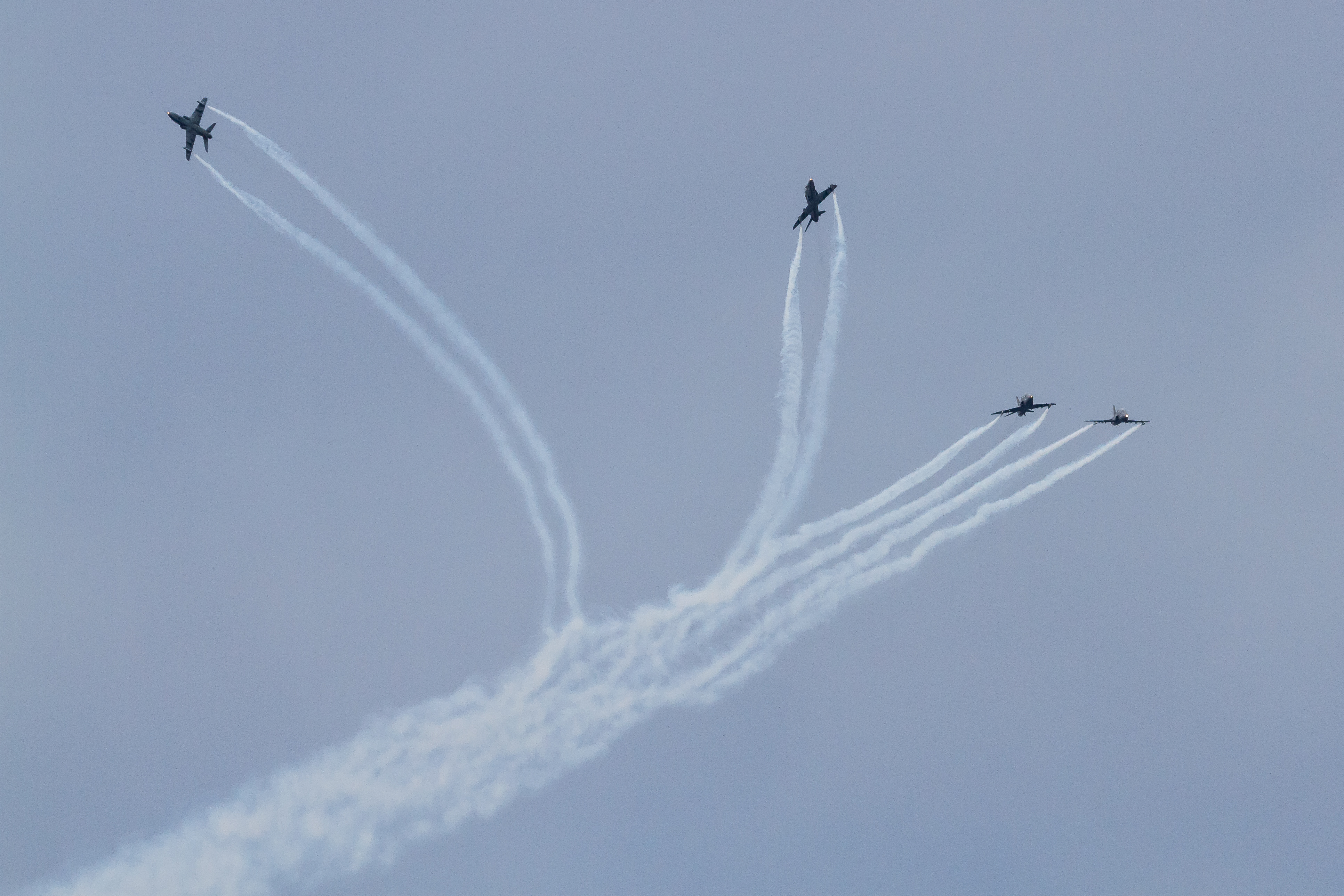 EOS7D_03760.jpg - Midnight Hawks