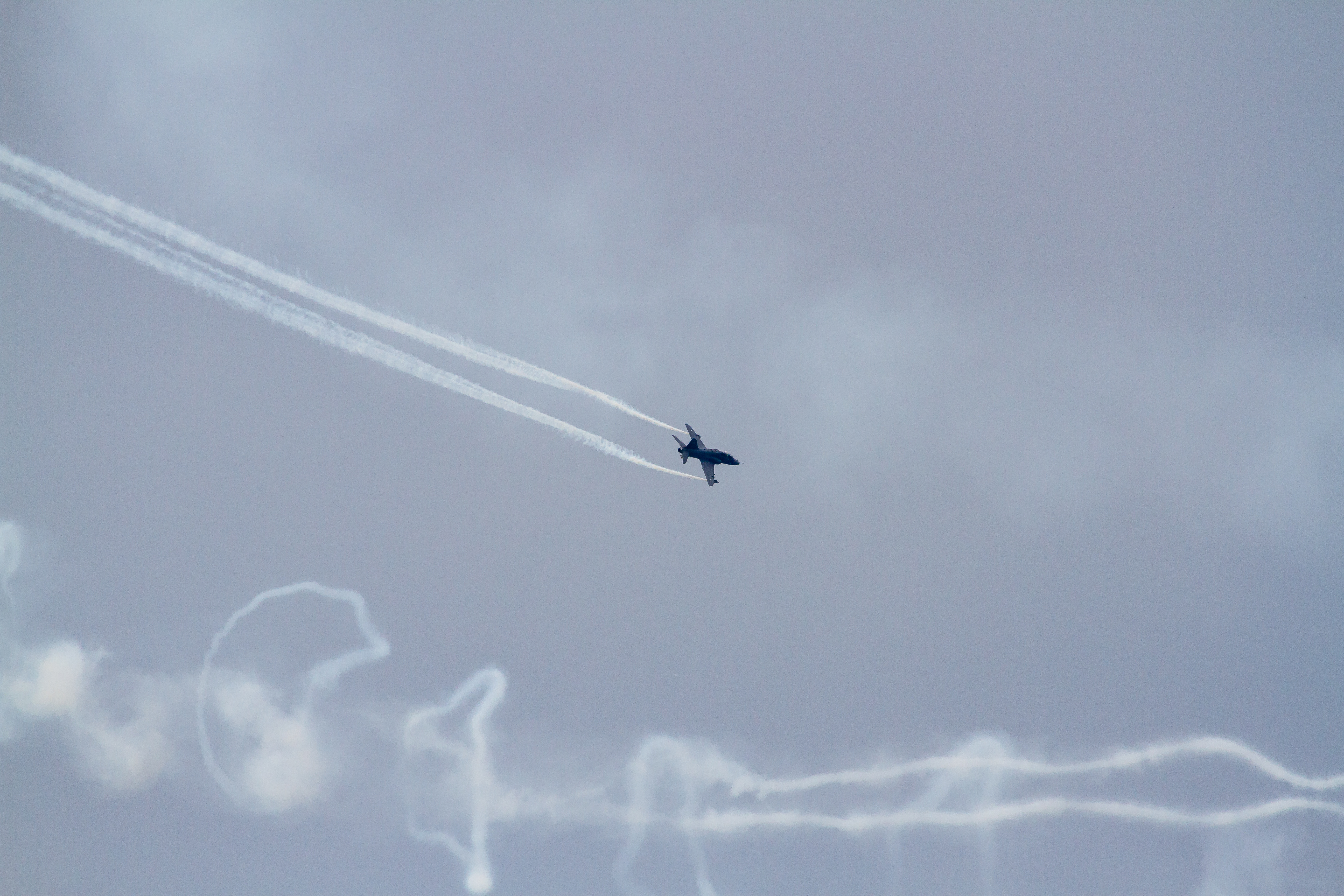 EOS7D_03768.jpg - Midnight Hawks