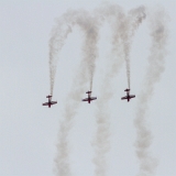 EOS7D_03129