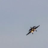 EOS7D_03376