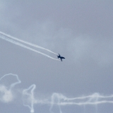 EOS7D_03768