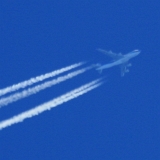IMG_6163_zoomed