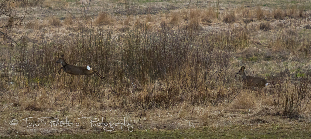 01_EOS7D_15789.jpg