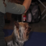 012_IMG_28781