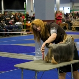 031_IMG_28822