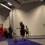 050_IMG_28870