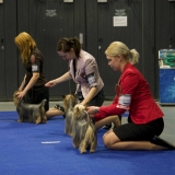 053_IMG_28884