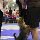067_IMG_28910