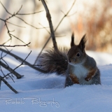 01_EOS7D-00597