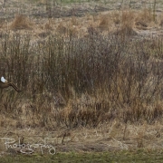 01_EOS7D_15789