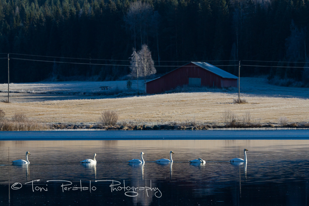 04_EOS7D_14003.jpg