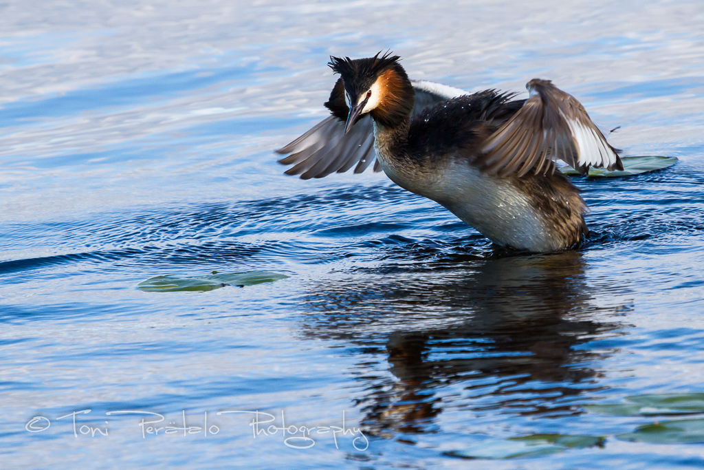 05_EOS7D_10100.jpg