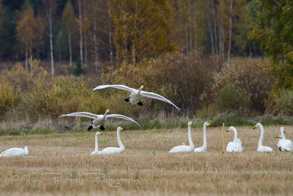 07_EOS7D_06311.jpg