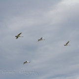 02_EOS7D_06238