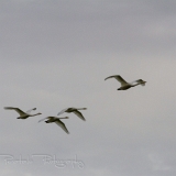 05_EOS7D_06273