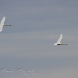 06_EOS7D_06283