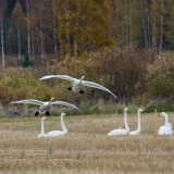07_EOS7D_06311
