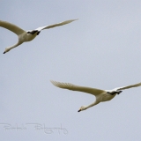 08_EOS7D_06316