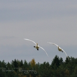 09_EOS7D_06329