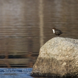 04_EOS7D_07855