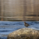 05_EOS7D_07861