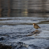 06_EOS7D_07871