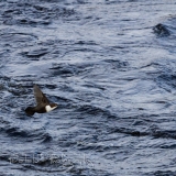 07_EOS7D_07927