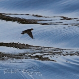 08_EOS7D_07932
